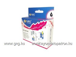 Epson To431 (T043140) Fekete Tintapatron Komp. G&G